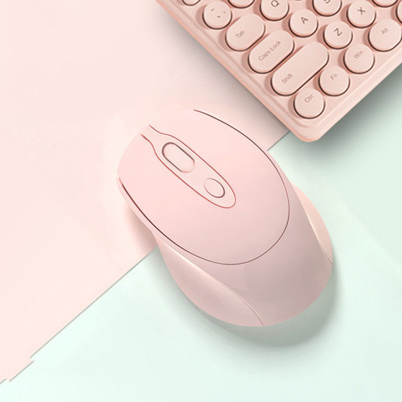 Wireless Bluetooth Mute Rechargeable Battery for laptops